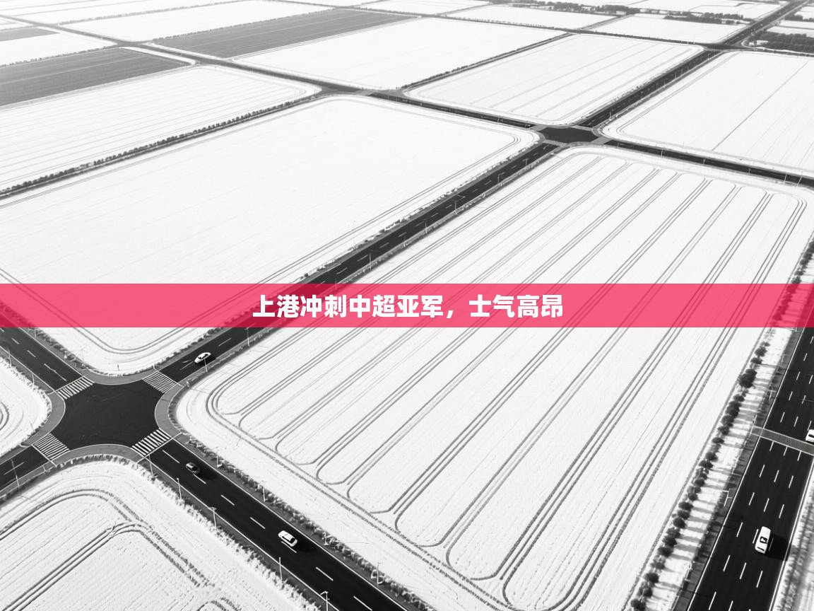 上港冲刺中超亚军，士气高昂  第1张