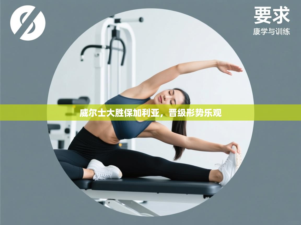 威尔士大胜保加利亚，晋级形势乐观  第1张