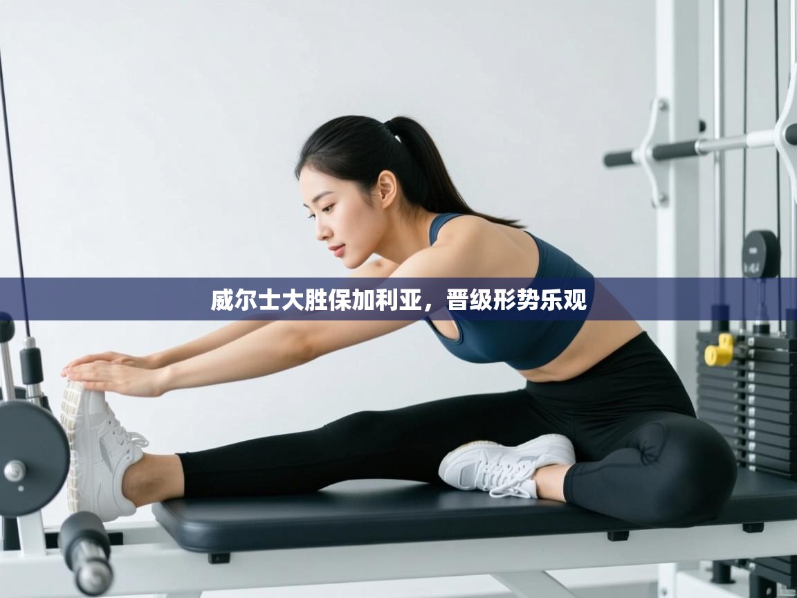 威尔士大胜保加利亚，晋级形势乐观  第2张