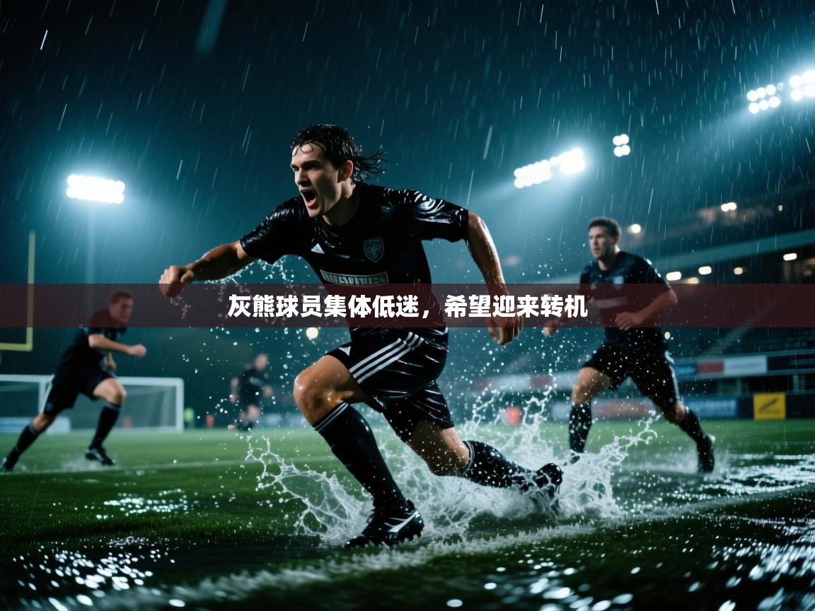 灰熊球员集体低迷，希望迎来转机  第2张