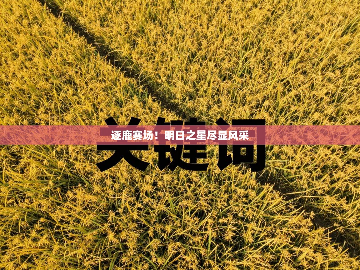 逐鹿赛场!明日之星尽显风采 第1张