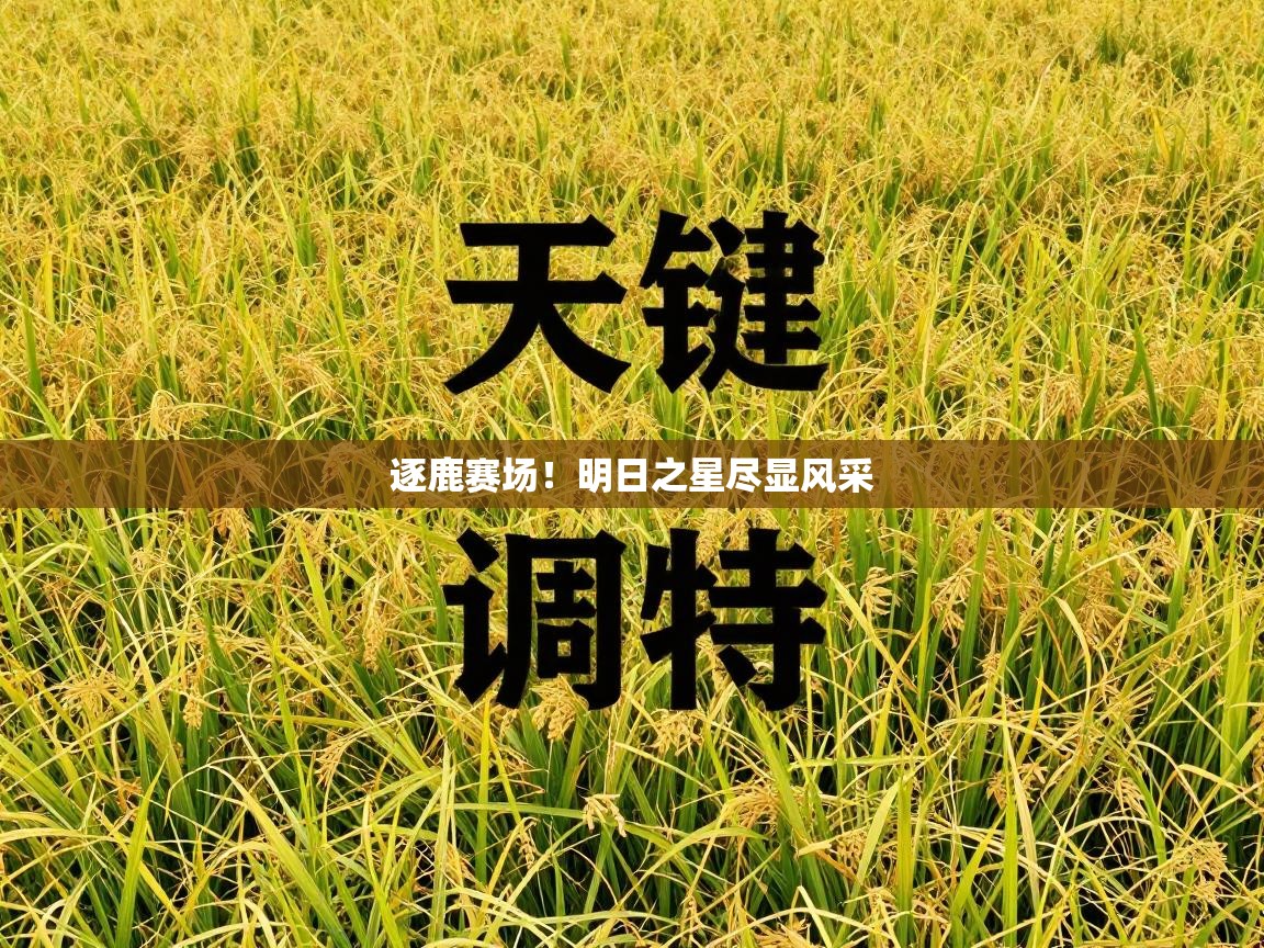 逐鹿赛场!明日之星尽显风采 第2张